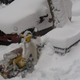 Illustration for article titled Riding New York In The Snow